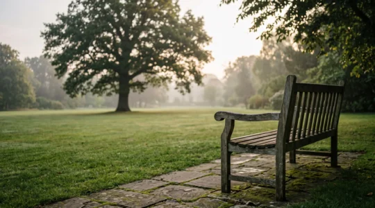 Un banc en bois vide face à un jardin paisible au lever du soleil, symbolisant la reflexion serene autour de la preparation d'une ceremonie funeraire personnalisee